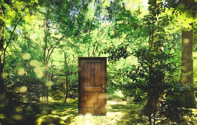 森の中にある新しい扉