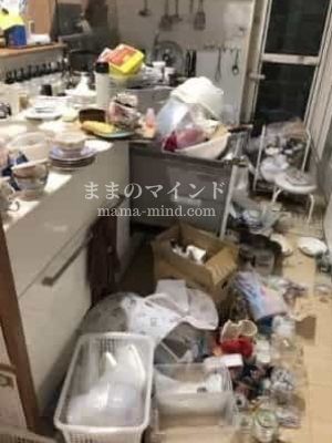 主婦の断捨離はキッチンからがおすすめ。汚部屋時代のビフォー写真