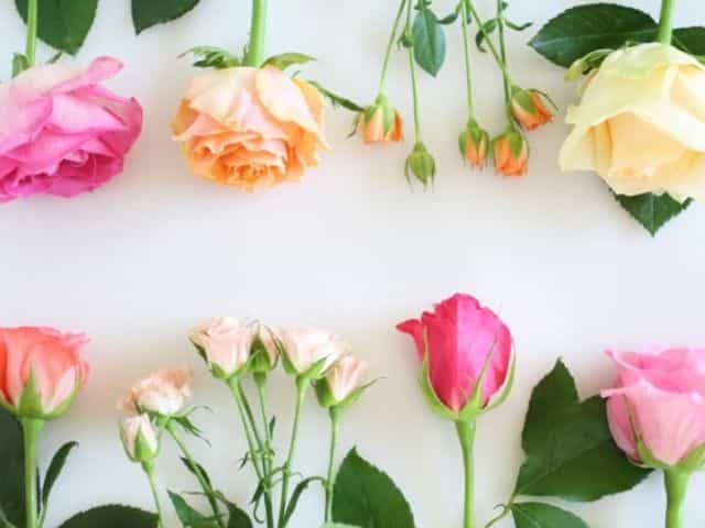 2019年子育て主婦が買って本当によかった子育てグッズベスト5をまとめてランキングでご紹介しました 便利グッズでもっと子育てを楽しよう