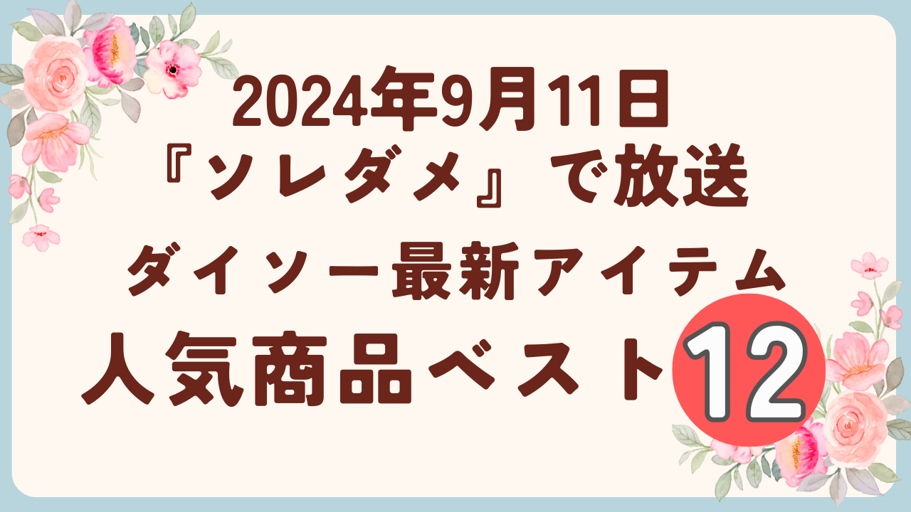 【ソレダメ】常連マスター激推し!ダイソー人気商品ベスト12をご紹介!2024年9月11日