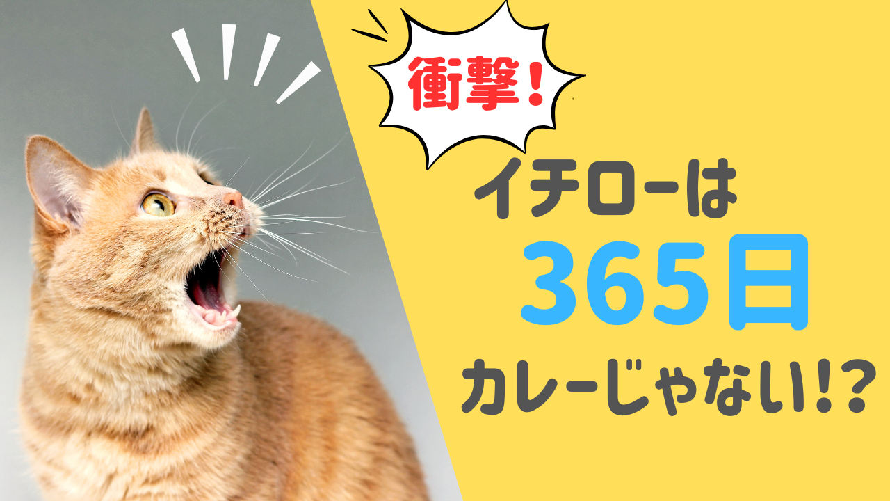 イチローは365日カレーじゃなかった!?実際に食べていた意外なものとは?